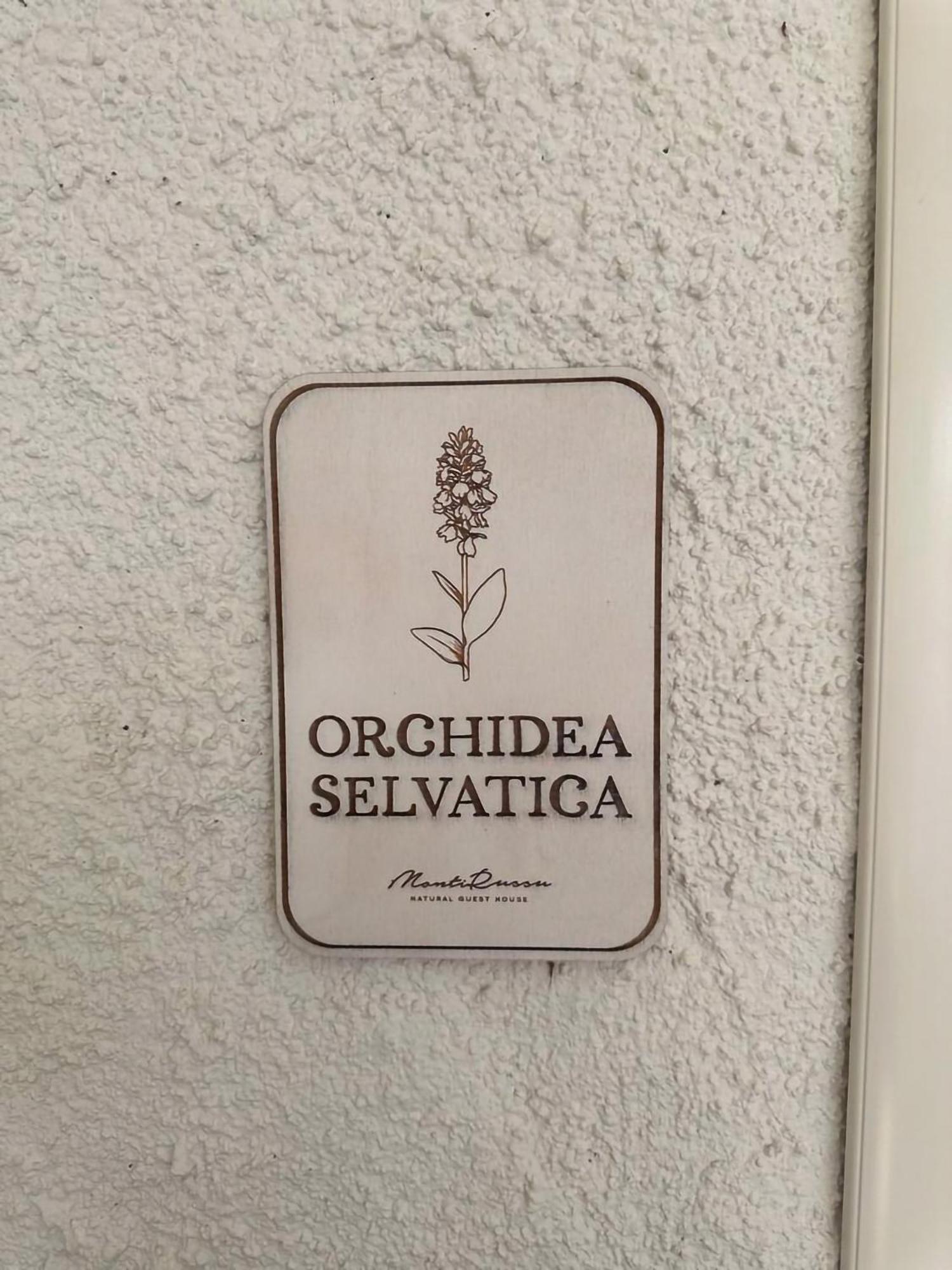 Monti Russu Natural Guest House Aglientu Kültér fotó